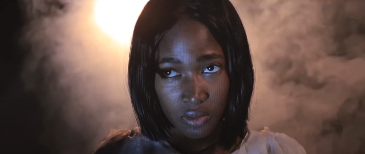 Trailer for 'The Seagull'